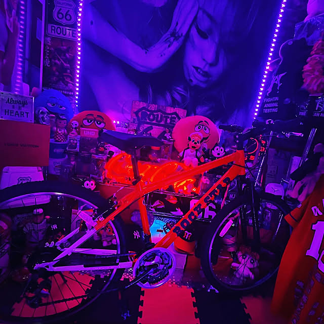 prince69starさんの実例写真