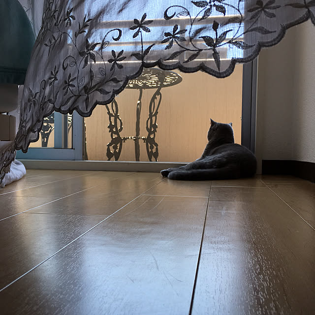 fionaさんの実例写真