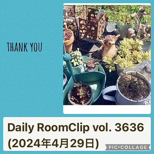 CoCo0617さんの実例写真