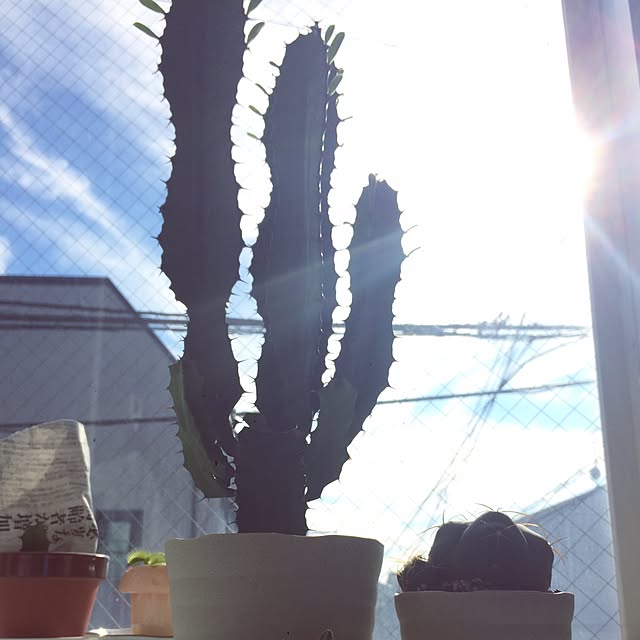 Competentさんの実例写真