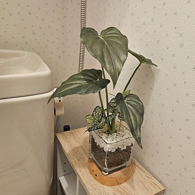 mogmogさんの部屋