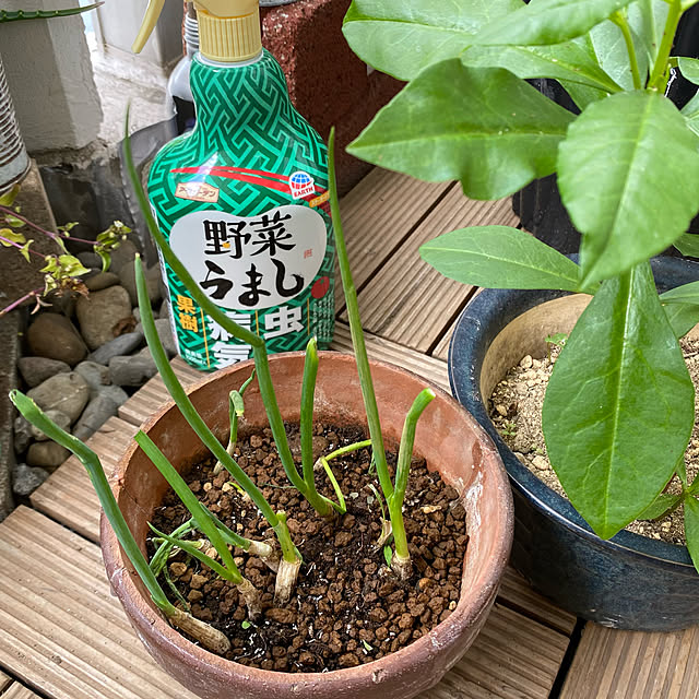 mamiさんの実例写真