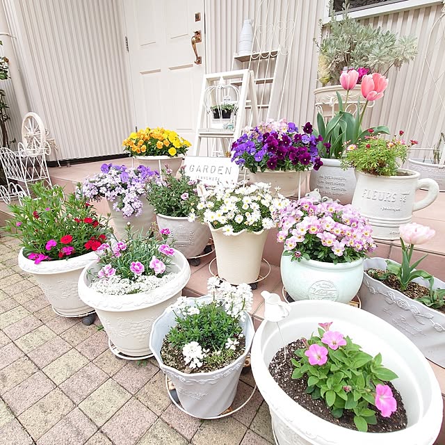 fleur-mamanさんの実例写真