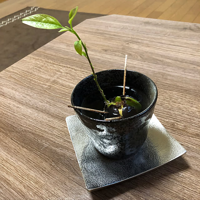 TAKEさんの実例写真