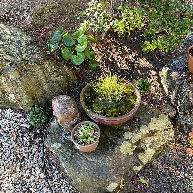 shin0719さんの部屋