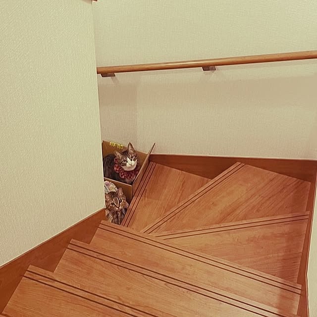 mochicoさんの実例写真