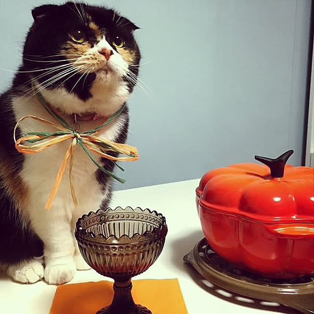 victorianさんの実例写真
