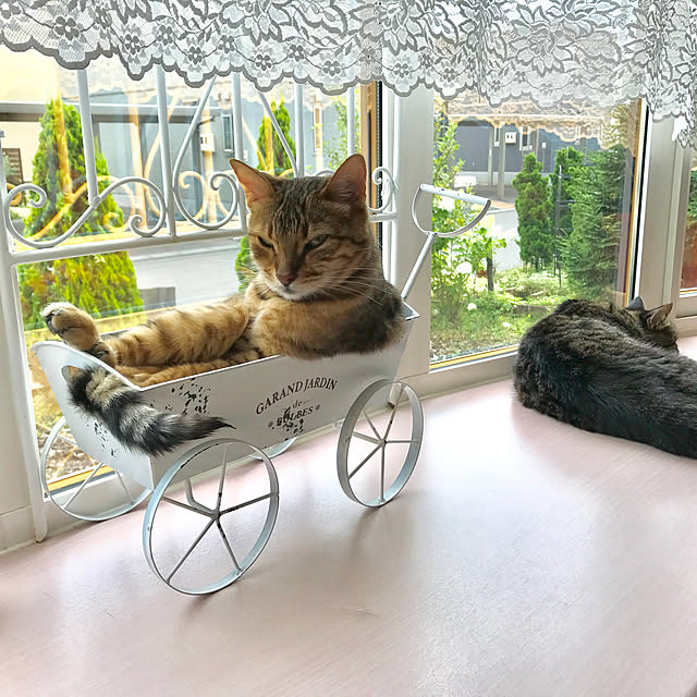 matsu.さんの実例写真