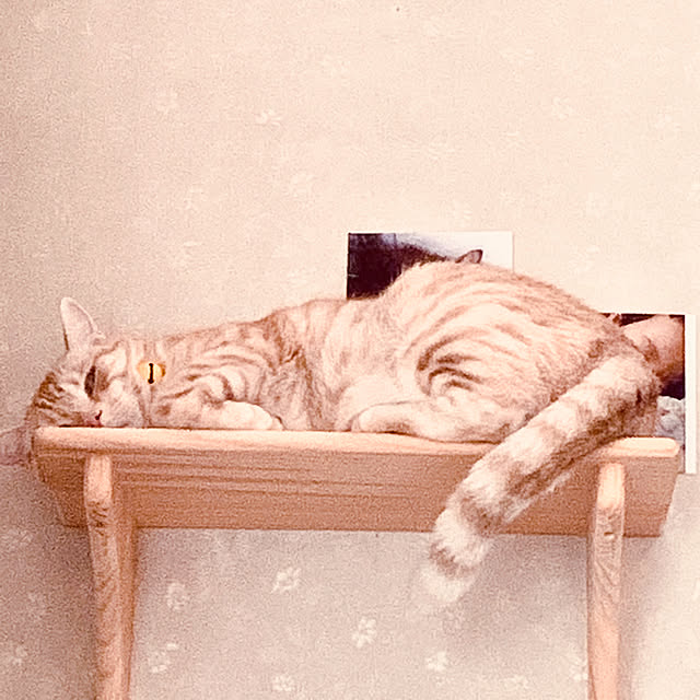 fuwafuwa0215さんの実例写真