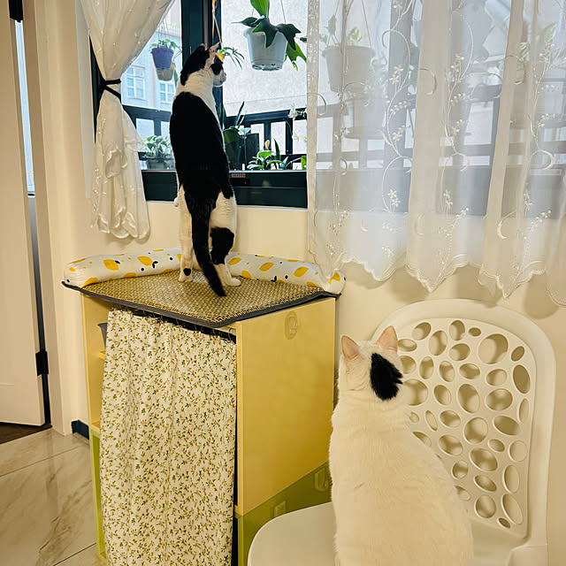 pcu110さんの部屋