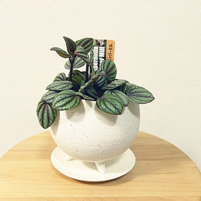 yoyoyoさんの実例写真