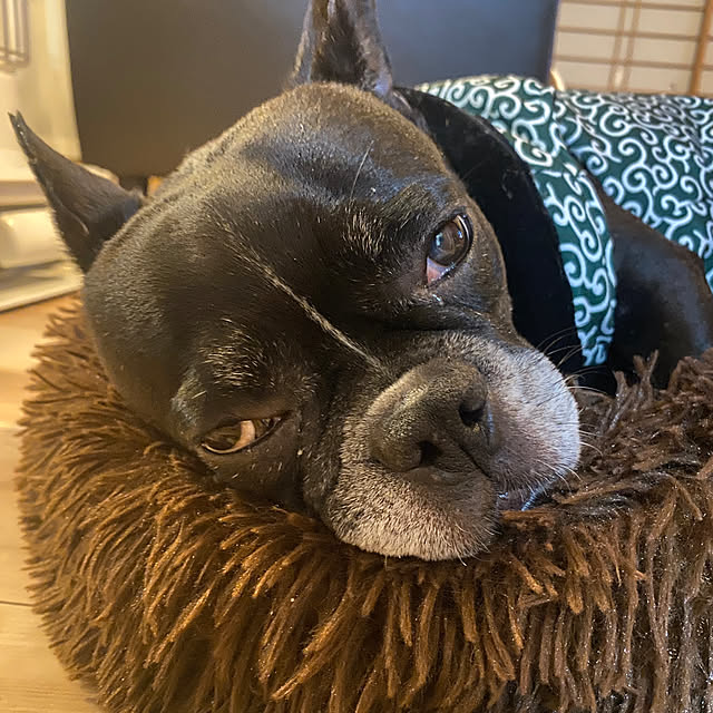 kotaroさんの部屋