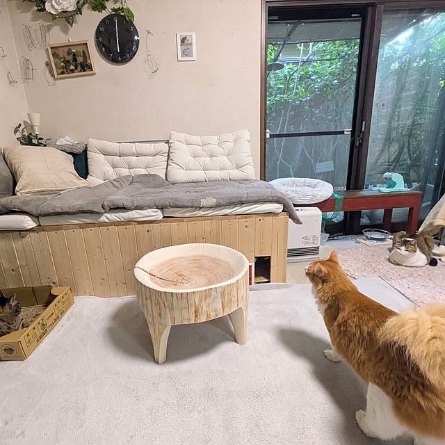 mori_6_12さんの実例写真