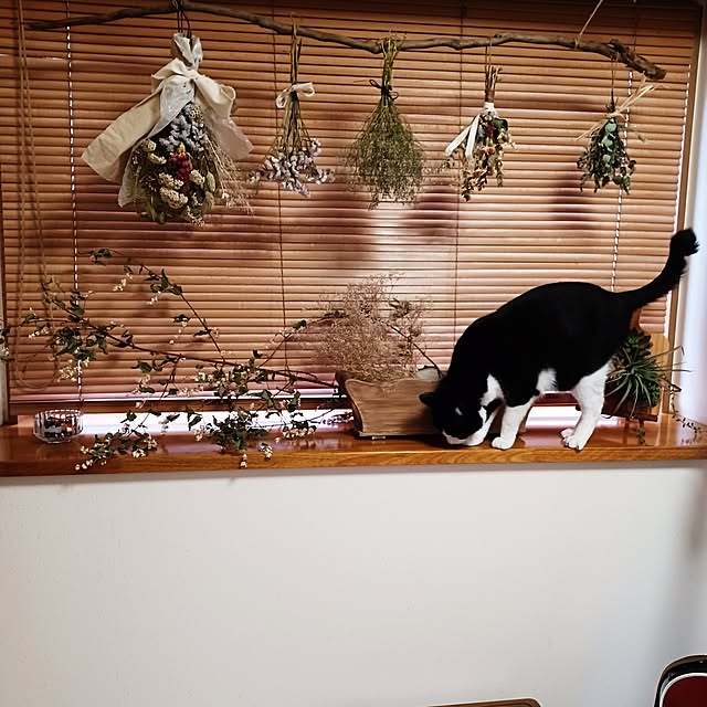 anzuさんの実例写真