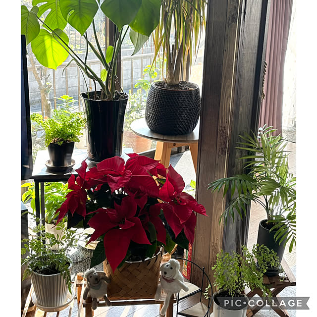 Smilkazuさんの部屋