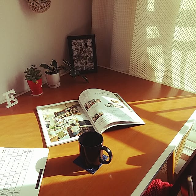 実例写真