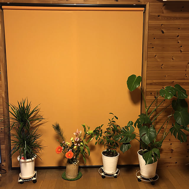 実例写真