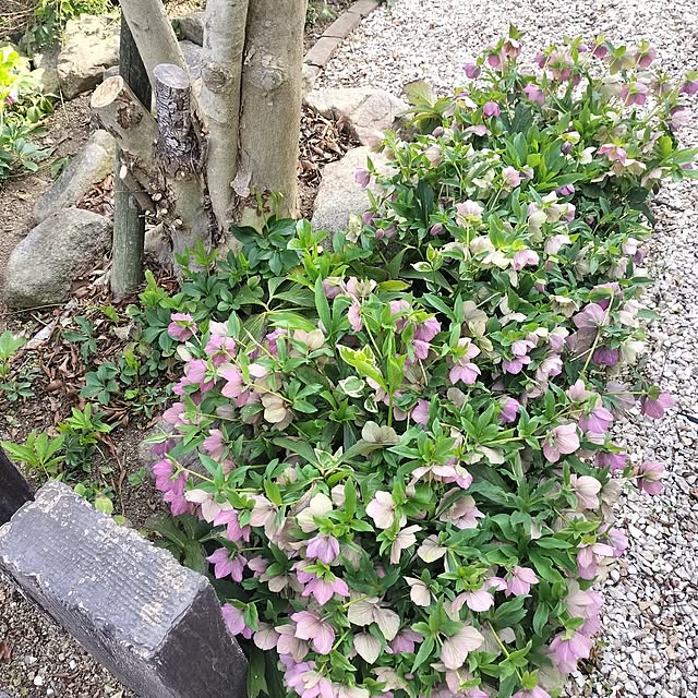 feuileさんの部屋