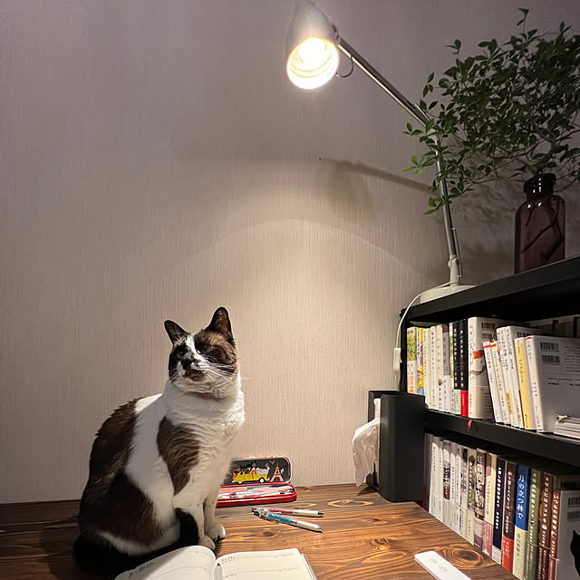 micio-notteさんの実例写真