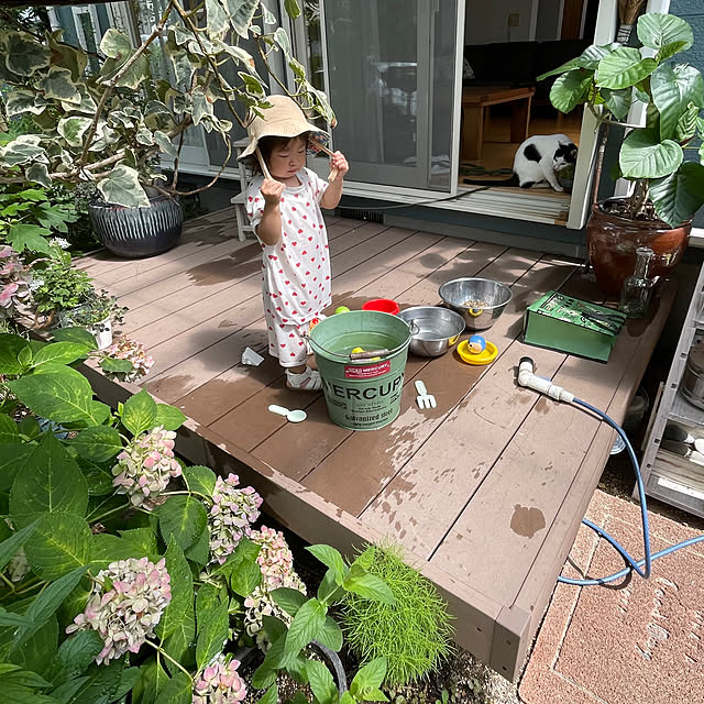 nobikoさんの部屋
