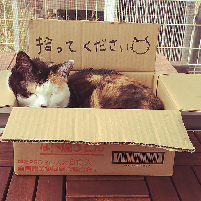 necomuraさんの実例写真