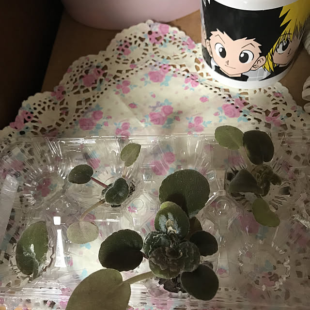 manarikoさんの実例写真