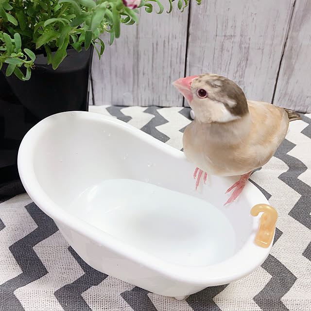 rinrinさんの実例写真