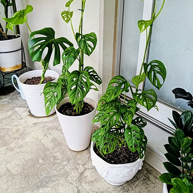 hanachanさんの部屋