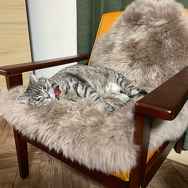 MARIRUさんの実例写真