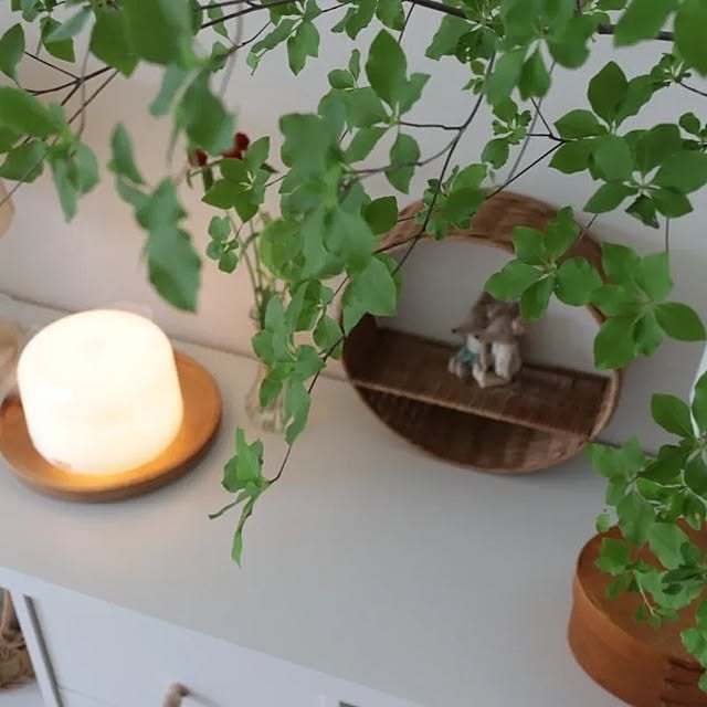 manaさんの部屋