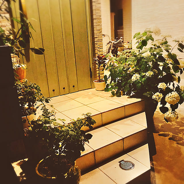 chisaさんの実例写真