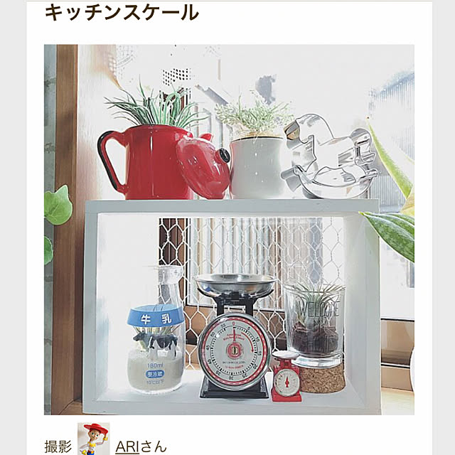 ARIさんの実例写真
