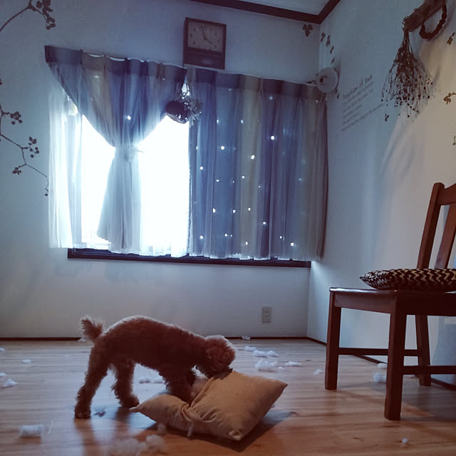 santamamaさんの実例写真