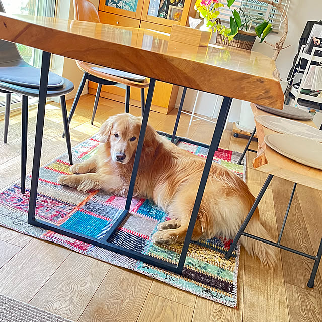 Mutsumiさんの実例写真