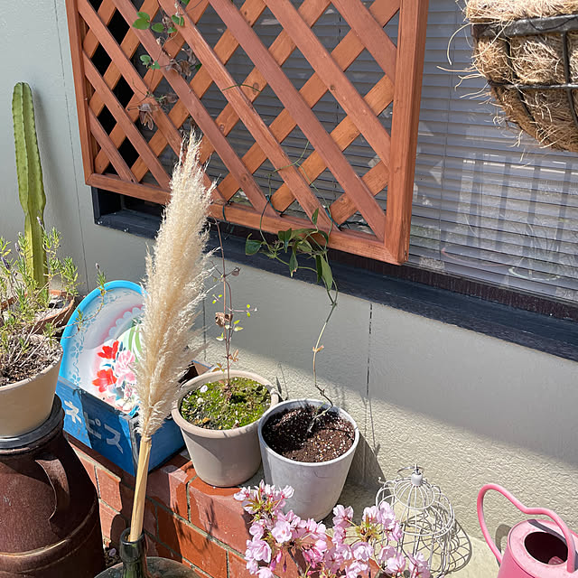 shin0719さんの実例写真