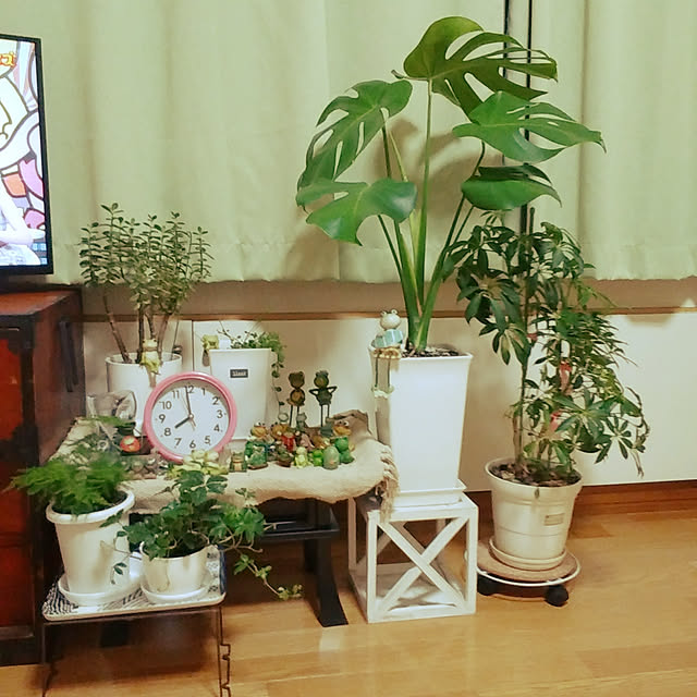 ringojamさんの実例写真
