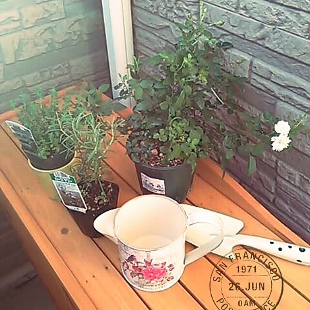 springさんの実例写真