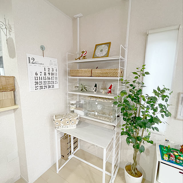 Minoriさんの実例写真
