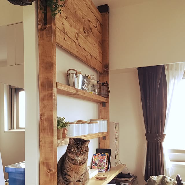 mochitarouさんの実例写真