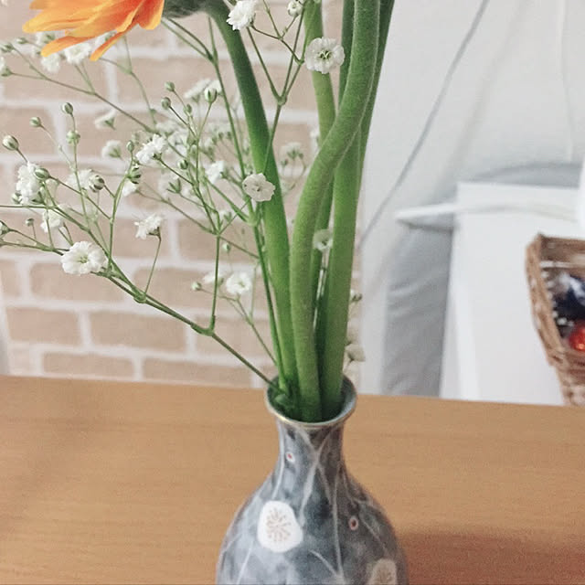 ikukoさんの実例写真