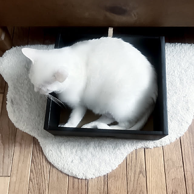 Ohigeさんの部屋