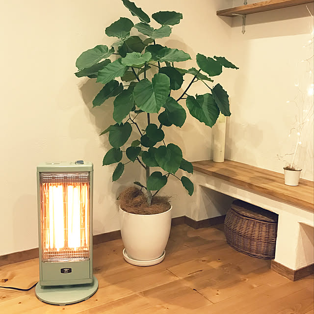 atom22さんの実例写真