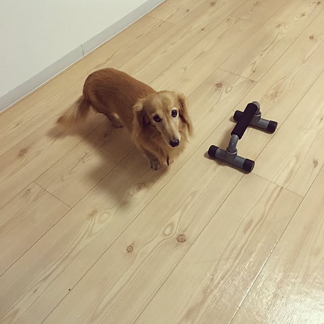 mocoさんの実例写真