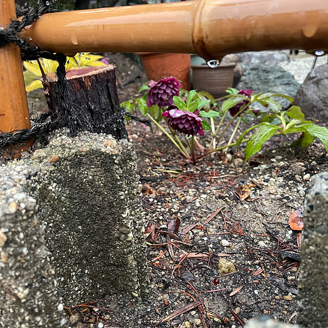 shin0719さんの部屋