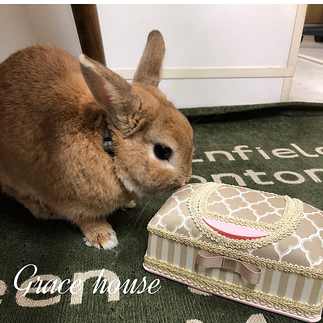 Eikoさんの実例写真