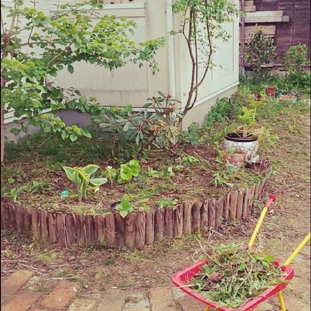 tulipさんの実例写真