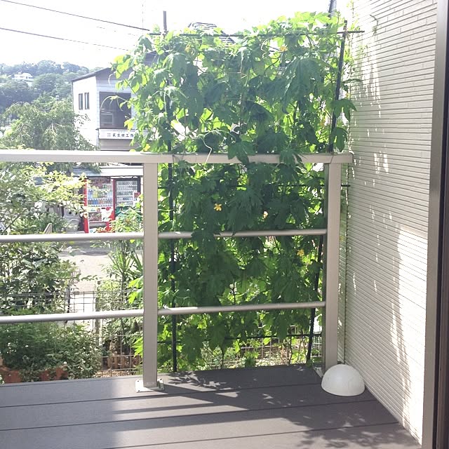 dicekbeetleさんの実例写真