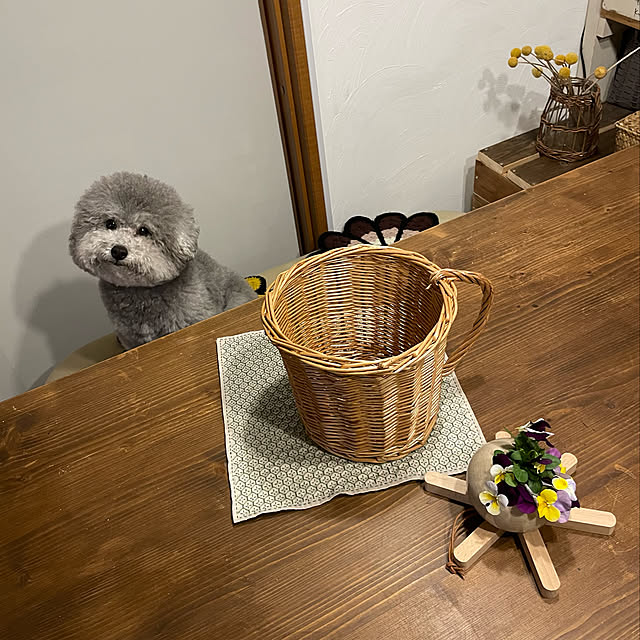meguko.ryanさんの実例写真