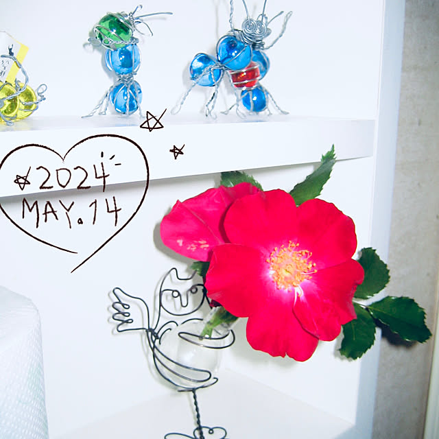 majoramさんの実例写真