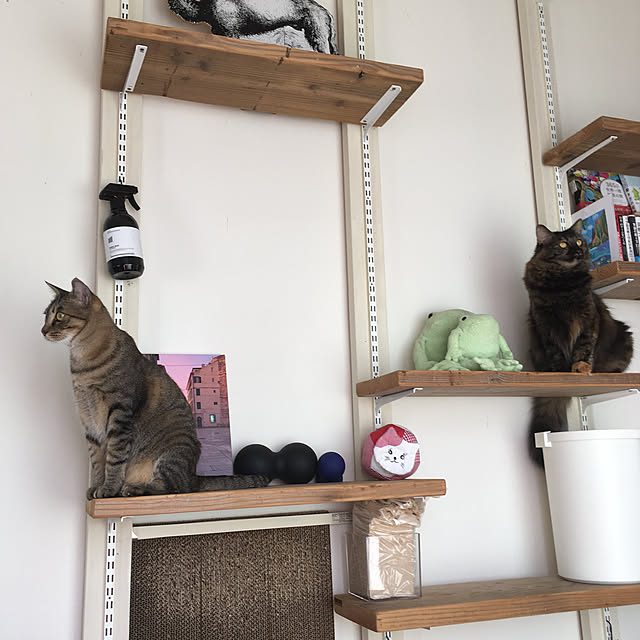 mikomaruさんの実例写真